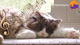 Calming Music for Cats  20 HOURS of 528Hz Healing Music 🎶 [upl. by Jenness]