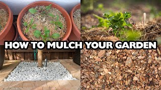 Mastering Mulching Choose and Apply the Best Mulch for Your Garden [upl. by Eiramaliehs]