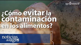 Micotoxinas ¿Cómo evitar la contaminación en los alimentos 🧫🍞🍓 [upl. by Pattie597]