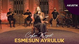 Ceylan Koynat  Esmesun Ayruluk Cover [upl. by Aretha407]