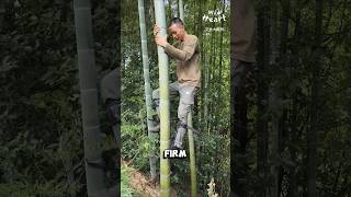 How to Master Tree Climbing [upl. by Eibot]