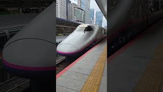 Watch the Shinkansen Approach A HighSpeed Marvel in Action [upl. by Thane]