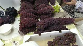 交野市のブドウ🍇直売所でのお買い物🤗 撮影するにあたってオーナーさんの許可貰って撮影しました。 [upl. by Kikelia774]