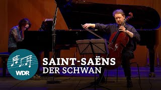 Camille SaintSaëns – Le Cygne Der Schwan  WDR Sinfonieorchester [upl. by Laurena]