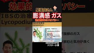 膨満感・ガスに効果的なホメオパシー ＃IBS ＃過敏性腸症候群 ＃過敏性腸症候群 薬 ホメオパシー 過敏性腸症候群 治し方 過敏性腸症候群 原因 過敏性腸症候群 ガス型 [upl. by Sivie476]