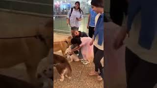 Mumbai Airport launches Pawfect [upl. by Musa]