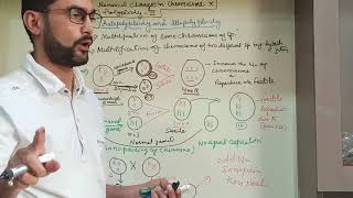 Geneticslecture 24  autopolyploidy and allopolyploidy [upl. by Solakcin]