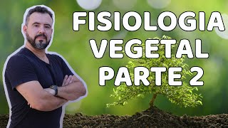 Fisiologia Vegetal  Parte 2 [upl. by Nesbitt]