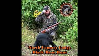 North Country Lodge Black Bear Hunt 2019 [upl. by Shandee]