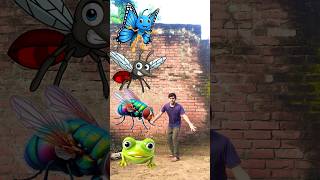 Frog to Titli Machhar￼ Bichu Makkhi Vfx funny video  funnyvideo shortsvideo viralvideos ￼ [upl. by Aidnic]