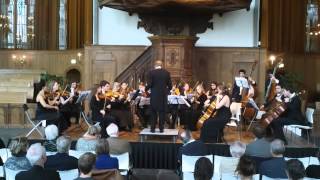 Franz Schreker  Scherzo for string orchestra [upl. by Macpherson]