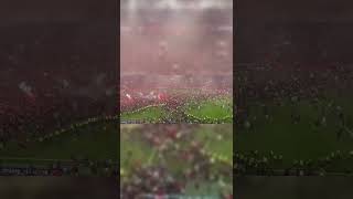 The moment Bayer Leverkusen fans stormed the pitch after winning their first ever Bundesliga 😲 [upl. by Iren426]