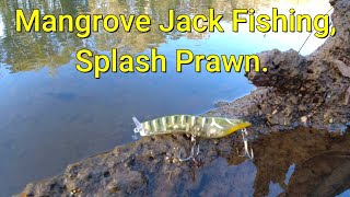 MANGROVE JACK FISHING BEST EVER SURFACE PRAWN [upl. by Claudy249]