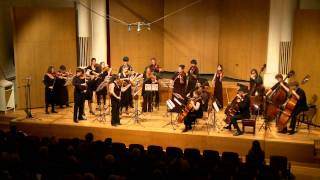 Strauss Metamorphosen for 23 solo strings  Sydney Camerata [upl. by Grata]