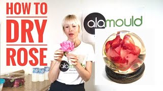 HOW TO DRY ROSE IN SILICA GEL 3D Resin Art Alamould Moulds [upl. by Mhoj47]