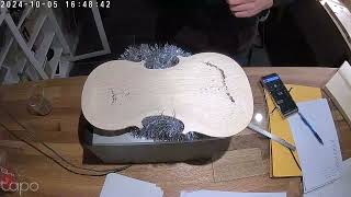 Violin top plate tuning  Chladni pattern  first experience [upl. by Ibur]