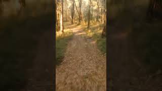 Sortie vtt enduro partie 1 mtb enduro downhill mountainbike mtblife [upl. by Llertnad]