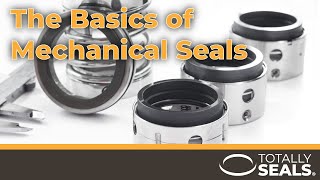 The Basics of Mechanical Seals [upl. by Holleran]