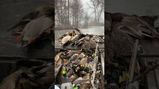 Rainy Day Boat Rides  Mallards In the Timber  Into The Woods with Rusty Creasey [upl. by Anerom]