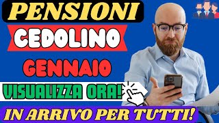 PENSIONI CEDOLINO GENNAIO 2024 ARRIVATO CONTROLLA GLI AUMENTI ORA [upl. by Jit]