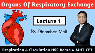 Lecture 1  Respiration and Circulation  Organs of Respiratory Exchange [upl. by Anaud]