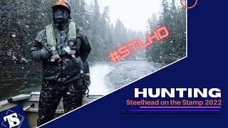 Hunting Steelhead on the Stamp 2022 [upl. by Phip923]