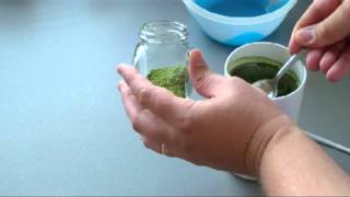 Stevia How To Sweeten Tea With Home Grown Raw Stevia [upl. by Atinehs]