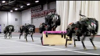 MIT cheetah robot lands the running jump [upl. by Noired]