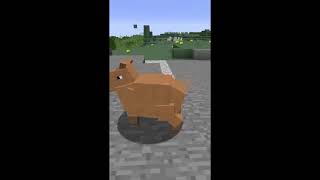 Minecraft Capybara [upl. by Hamirak]