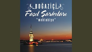 Darıldın mı Gülüm Bana [upl. by Ifar]