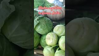 Winter vegetables in Assam India winter vegetables [upl. by Rainwater]