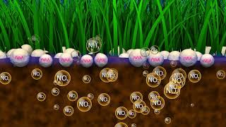 Boost Fertilizer Performance with Kimleigh Chemicals SAs Urease and Nitrification Inhibitors [upl. by Annod203]