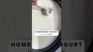 YOGURT MADE IN A CROCKPOT easyrecipes yogurtrecipesyogurt ibs SIBO guthealthcrockpotcooking [upl. by Donelu150]