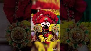 He jagannath 🌺🥰 RADHE RADHE 🥰🙇 [upl. by Black]