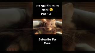 After all this the rat thinks of revenge Part  2  shorts movieexplainedinhindi [upl. by Rehpitsirhc470]