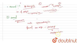 Selection the incorrect statement regarding reproduction in rhodophyceae [upl. by Lindo229]