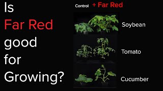 Is Far red light good for plants [upl. by Deron]