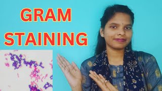 GRAM STAINING FULL DETAILS IN BENGALI  GRAM STAIN PROCEDURE gramstaining [upl. by Verney560]