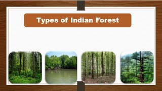 Types of forest in India for kids Learn forest types in India [upl. by Boylan788]