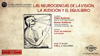 Las neurociencias de la visión la audición y el equilibrio [upl. by Keithley842]