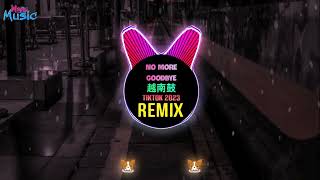 No More Goodbye 越南鼓 Remix Tiktok 2023 DJ抖音版  Bản Hay Nhất Hot Tiktok Douyin [upl. by Hgieliak]