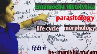 Entamoeba Histolytica  Life Cycle  Morphology  Parasitology By Manisha Maam [upl. by Ama541]