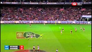 Bombers vs Tigers rd 9 2013 [upl. by Eadas]