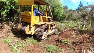 Vintage Cat D4 Clearing Gorse on a Steep Hillside Testing the new Clutch [upl. by Fineman]