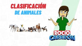 CLASIFICACIÓN DE ANIMALES Herbívoro Carnívoro Omnívoro e Insectívoro [upl. by Esiouqrut]