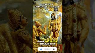 Bhagavad Gita Chapter 11 1113 [upl. by Ytsirt]