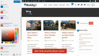 How to Configure Site Color Skin  BuddyX BuddyPress Theme [upl. by Asilahs]