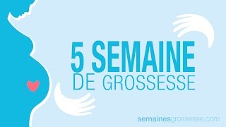 5 semaines de grossesse  Semaine 5 de grossesse  La grossesse semaine par semaine [upl. by Marla]