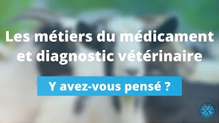 Les métiers du médicament et diagnostic vétérinaires  Y avezvous pensé [upl. by Aenat]