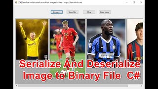 C Serialize And Deserialize Image to Binary File [upl. by Adnalahs]